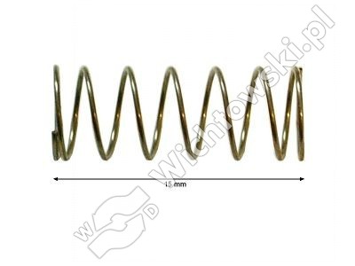 Sprężyna - 4102.141